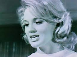 The cast of Wait Until Dark in 1993, 13 years after the show, including Dan  Voelkert, a portion of Lloyd Skinner, Anna Tyler in her role as the  blushing bride (for real),