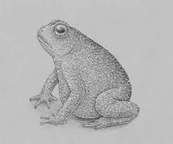 Comment à dessiner couleur baisers étape par étape facile mignonne. Comment Dessiner Une Grenouille Progressivement Design Et Illustration Developpement De Sites Web Jeux Informatiques Et Applications Mobiles