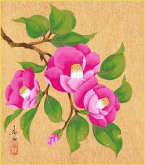 Camellia Asian Art Artist Pictures To Paint