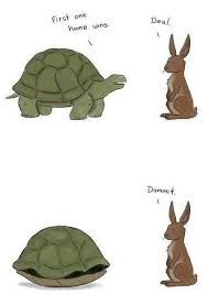 16 Funny Turtle Memes That Will Make You Lol Turtles Funny Funny Cute Turtles