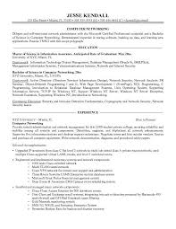 Example Resume Basic Computer Skills Professional Resume Templates Resume Skills Resume Examples Engineering Resume Templates