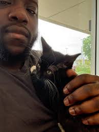 Is it possible for a surrendered cat to return home?