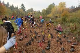 Promote rain infiltration, provide diverse habitat for native wildlife, reduce soil erosion, and deliver clean water into streams. Rejuvenating Sw Washington S Natural Spaces And Urban Places
