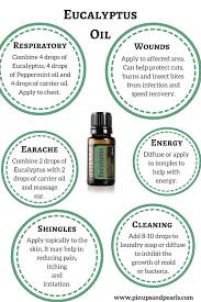 Eucalyptus Oil Benefits Uses Eucalyptus Oil Benefits Essential Oil Benefits Eucalyptus Oil