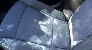 It's bad for health to live in the same room with a moldy carpet. How To Get Mold Out Of Car Seats And Carpet Tires 4 Car