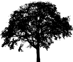 Free Image On Pixabay Tree Bush Nature Leaves Trunk Tree Silhouette Silhouette Vector Landscape Silhouette