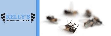 Earn the fastest points in pest control to get your rewards as quick as possible! Kelly S Termite And Pest Control Is A Pest Control Service In Sumter Sc