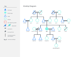 How To Make A Kinship Diagram Lucidchart Blog