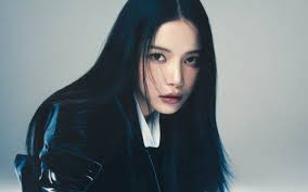 하고 싶은 거 다 하자, 노잼봇