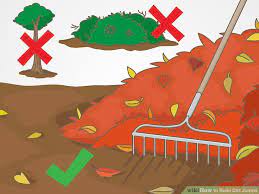 3 Ways To Build Dirt Jumps Wikihow In 2021 Bmx Mountain Bike Bike Pump Track Cross Country Mountain Bike