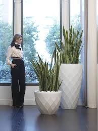 Vondom Pflanzgefass Vases Rund D66cm Kaufen Im Borono Online Shop Pflanzgefasse Zimmerpflanzen Dekor Und Gartenprodukte