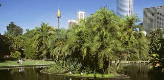botanical gardens sydney