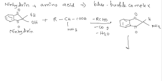 Ninhydrin Molecule: Structure, History, Properties And Applications