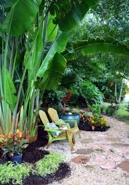 Pin On Tropical Garden