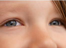 Image result for Hypertelis