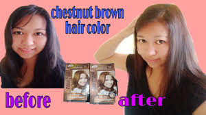 Olivia palermo's hair starts with a deep chocolate brown color and slowly transitions to chestnut at the ends. Chestnut Brown Hair Color Jen Acelador Youtube
