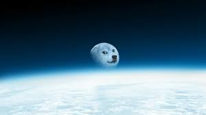 The great collection of doge wallpapers for desktop, laptop and mobiles. 10 Cool Doge Wallpapers In Hd Doge Much Wow