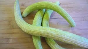 الفقوس Fruit Vegetables Celery