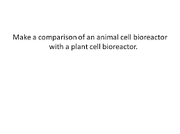 The nucleus directs activities of the cell and carries genetic information from generation to outermost layer in an animal cell and next to cell wall in the plant. Chapter 6 Plant And Animal Cell Bioreactors Ppt Video Online Download