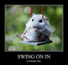 Memebase Swing All Your Memes In Our Base Funny Memes Cheezburger