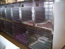 I've always had a great experience bringing my pets into the office, the staff is great and very knowledgeable. Enjoy A Quick Picture Tour Of Our Veterinary Clinic