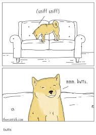 Twenty Three Animal Memes Because Well They Re Better Than People Memes In 2020 Funny Animal Comics Dog Comics Funny Halloween Memes