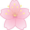 Clipart blossom, printable blossoms, floral clipart, clipart blossoms, blossom нравится. Https Encrypted Tbn0 Gstatic Com Images Q Tbn And9gctrkc Haueiy1bh Oemf7xwu1oetjgwwuibgrxcf0lmmytneohm Usqp Cau