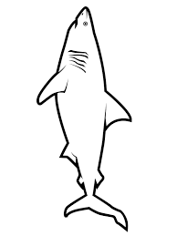 Check spelling or type a new query. Realistic Great White Shark Outline Simple For Kids Coloring Pages Fish Coloring Pages Coloring Pages For Kids And Adults