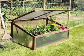 Grand Coffre De Culture En Bois Lacewing 100cm X 60cm Cold Frame Small Greenhouse Polycarbonate Panels