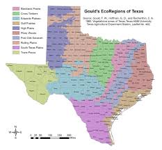 Ty ty nursery offers the only 2 kinds of small growing nut trees, the american filbert, (hazelnut), and the rare american native allegheny chinquapin tree along with several different clones of cold hardy, grafted almond trees for sale. List Of Trees Of Texas Wikipedia