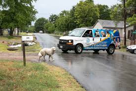 To help educate the dallas public on proper animal care and promote spaying and neutering of all pets. Why Euthanasia Rates At Animal Shelters Have Plummeted The New York Times