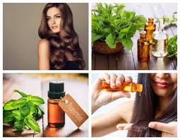 Is peppermint oil good for hair loss? Peppermint Oil For Hair How To Use Its Benefits Beauty Health Tips
