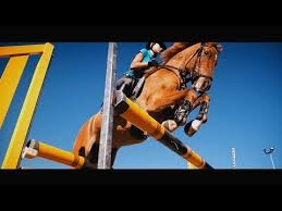 Check spelling or type a new query. We Are One Amazing Horse Riding Youtube