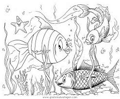 Verschiedene Fische 43 Gratis Malvorlage In Fische Tiere Ausmalen