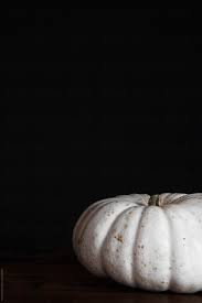 We did not find results for: White Pumpkin On Dark Background By Kristine Weilert