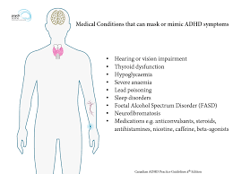 Check spelling or type a new query. Diagnosis And Management Of Adhd Focus On Adult Adhd
