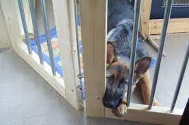 安上がりな自作diyフェンス 大型犬と室内で暮らす 犬小屋 diy 犬小屋 犬のケージアイデア