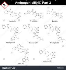 Chemical Structures Of Aminopenicillins Ampicillin Amoxicillin Epicillin Talampicillin Bacampicillin Chemical Structure Stock Illustration Illustration