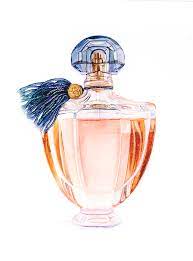 Watercolour Perfume Bottle Editorial Illustration By Katherine Appleby Perfume Art Painting Perfume Bottle Art Perfume Art