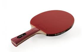 Best Table Tennis Paddle Reviews In 2020 Table Tennis Table Tennis Racket Ping Pong Paddles