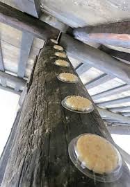 Corvi, passeri, storni, piccioni, ecc. Bird Free Gel Ottico Repellente Per Piccioni