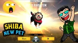 Free fire new pet will be available in october for all. Freefire New Pet Shiba New Pet Ability Full Details Youtube