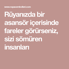 ruyanizda bir asansor icerisinde fareler gorurseniz sizi somuren insanlari fareler ruya asansor