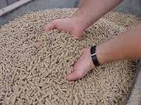 Nieuwe Oogst - News update