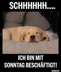 Schhhhehh Ich Bin Mit Sonntag Beschaftigt Lustige Bilder Spruche Witze Echt Lustig