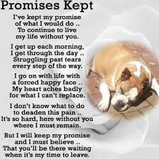 Its So Hard To Go On Without You Here Dog Poems Miss My Dog Pet Poems