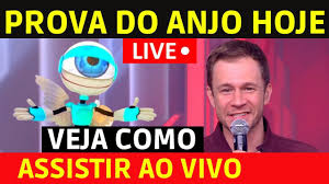 Aproveitando que já estava ali mesmo, tiago leifert pegou os brothers de surpresa entrou ao vivo na casa para anunciar que viegas havia recebido o colar do anjo. Pin Em Bbb Hoje