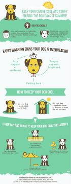 Jul 17, 2020 · safety tips to avoid pets overheating. How To Keep Your Dog Cool In The Summer Heat Hi I M Sadie Shih Tzu