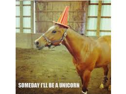 Kicking blow to the jaw. The 15 Funniest Animal Memes