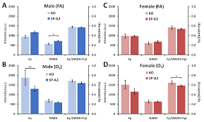 Maybe you would like to learn more about one of these? Antioxidants Free Full Text Sex And Sp A2 Dependent Nad H Redox Alterations In Mouse Alveolar Macrophages In Response To Ozone Exposure Potential Implications For Covid 19 Html